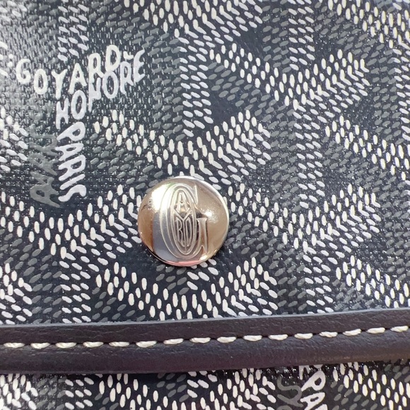 Goyard 2023 Goyardine St. Louis PM w/ Pouch - Picture 6 of 6